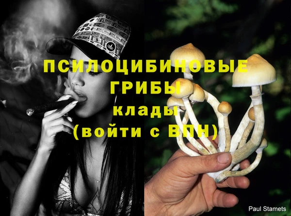 а пвп мука Белокуриха