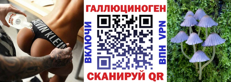 где купить   kraken   Псилоцибиновые грибы мухоморы  Комсомольск 